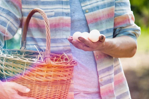 Cropped Image Farmer Holding Eggs Basket Farm — Stock Photo, Image
