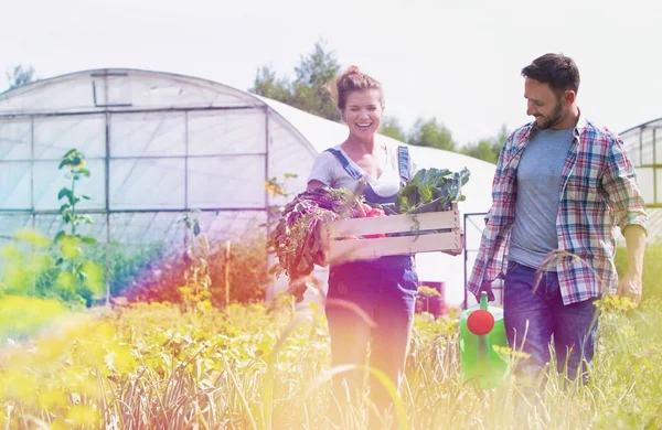 Happy Couple Talking While Holding Vegetable Crate Watering Can Farm — Stock Photo, Image