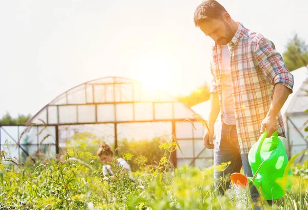 Mann Mit Gießkanne Spricht Frau Bei Der Ernte Auf Bauernhof — Stockfoto