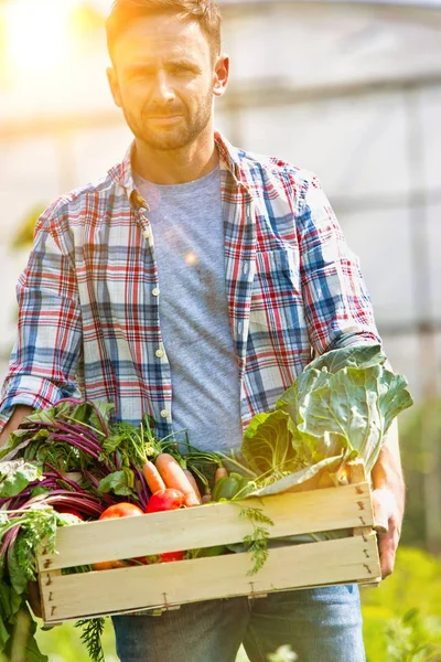 Porträtt Lantbrukare Som Bär Grönsaker Låda Gården — Stockfoto