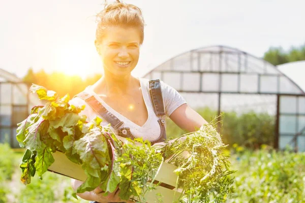 Portrét Usmívající Dospělé Ženy Držící Zeleninu Bedně Farmě — Stock fotografie