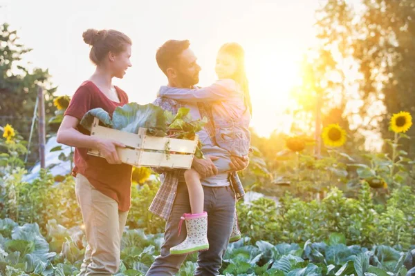 Smiling Family Vegetables Crate Walking Cabbages Farm — Stock Photo, Image