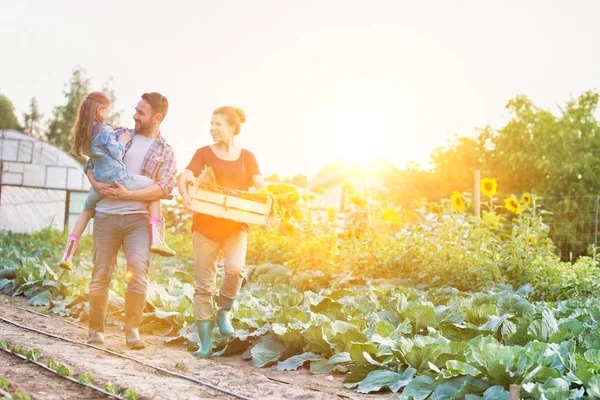 Smiling Family Vegetables Crate Walking Cabbages Farm — Stock Photo, Image