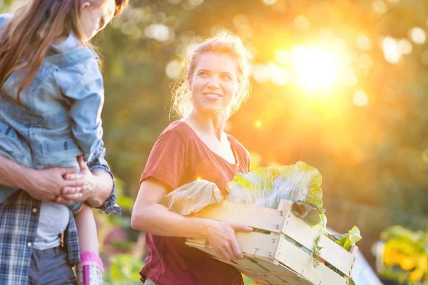 Familia Sonriente Con Verduras Cajón Caminando Por Las Coles Granja —  Fotos de Stock