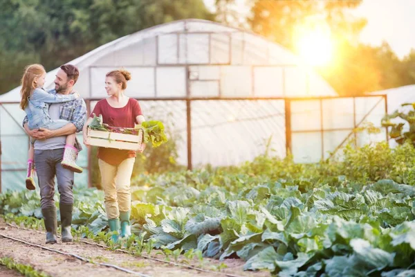 農場でキャベツによって歩く木箱の野菜と笑顔の家族 — ストック写真