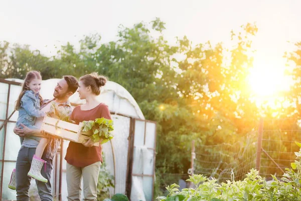 Χαμογελαστή Οικογένεια Λαχανικά Κιβώτιο Που Περπατάει Λάχανα Στη Φάρμα — Φωτογραφία Αρχείου