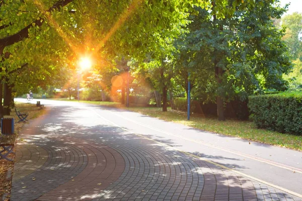 Prachtig Uitzicht Footpath Park — Stockfoto