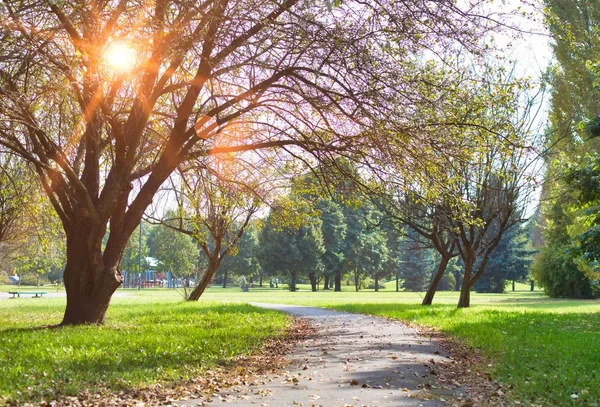 Bella Vista Del Sentiero Nel Parco — Foto Stock