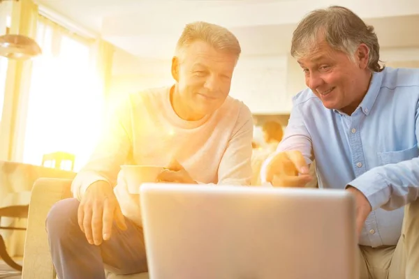 Senior Man Toont Oude Foto Laptop Aan Zijn Vriend Met — Stockfoto