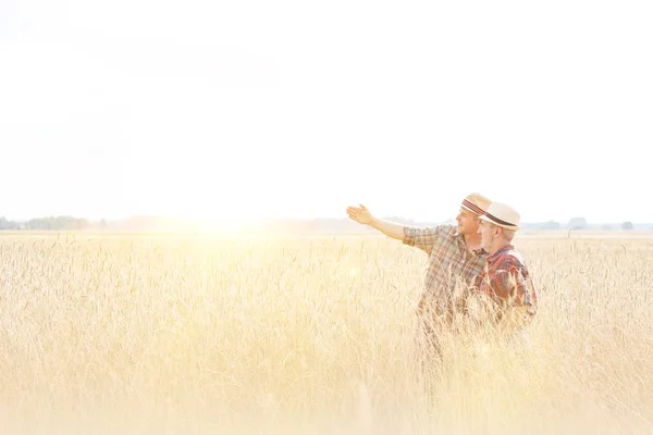 Farmers Discussing Wheat Crop Field Yellow Lens Flare Background — Stock Photo, Image