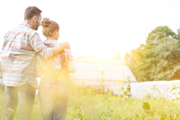 Vista Trasera Pareja Mirando Las Plantas Que Crecen Granja — Foto de Stock