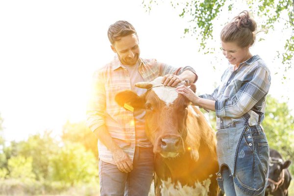 Smiling couple standing with cow at farm