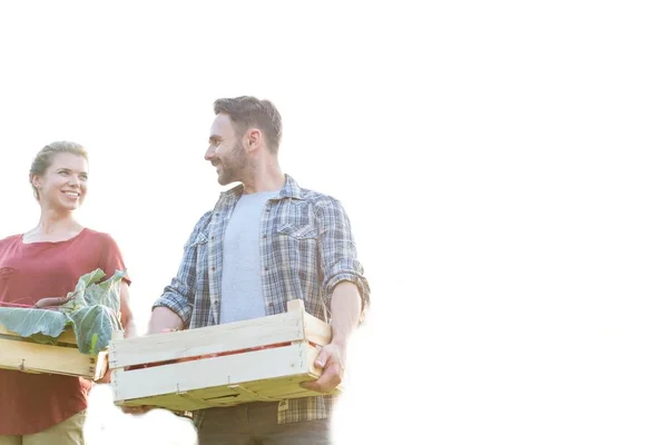 Feliz Pareja Hablando Mientras Mantienen Las Cajas Verduras Granja —  Fotos de Stock