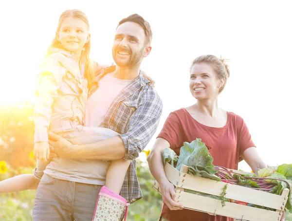 微笑的家庭与蔬菜在板条箱步行在农场的卷心菜 — 图库照片