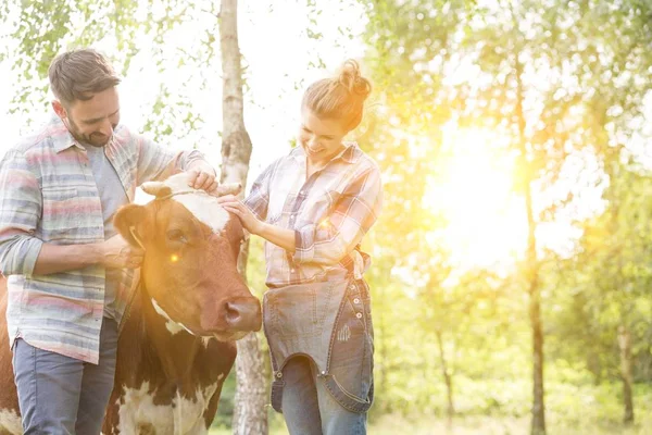 Smiling couple standing with cow at farm