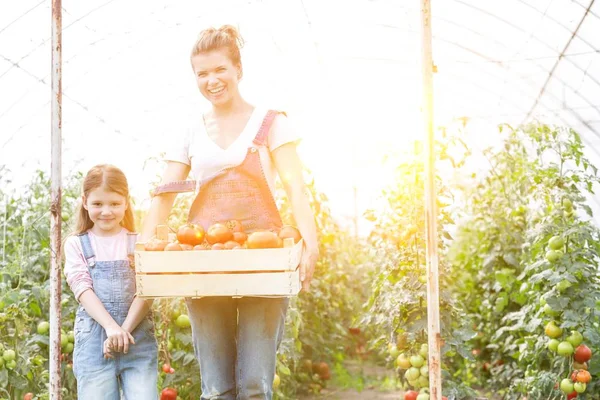 農場で新鮮なトマトを収穫する母と娘 — ストック写真
