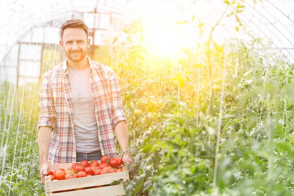 Porträtt Lycklig Vuxen Bonde Som Bär Tomater Låda Gården — Stockfoto