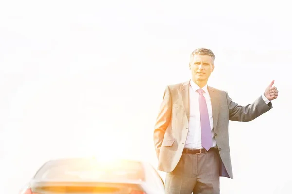 Mature businessman calling for taxi in the middle of the road with yellow lens flare in background