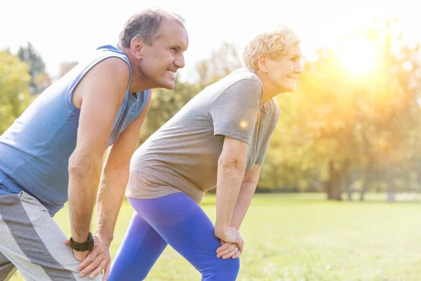 Fit Senior Couple Doing Stretching Exercise Park — Stockfoto