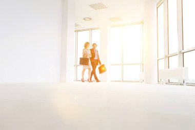 İş adamı ve işadamı ofiste konuşurken konuşuyor. 