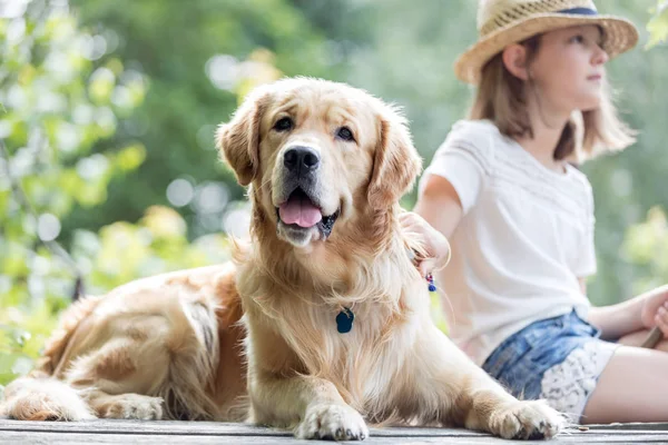 Menina Golden Retriever Cão Sentado Cais — Fotografia de Stock