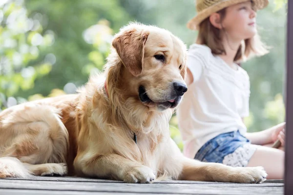 Mädchen Und Golden Retriever Hund Sitzen Auf Seebrücke — Stockfoto