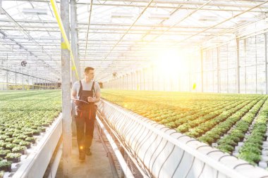 Seradaki otların arasında elinde panoyla duran bilim adamının portresi