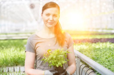 Bitki yetiştirme odasında bitki tohumlarını inceleyen kadın botanikçi.