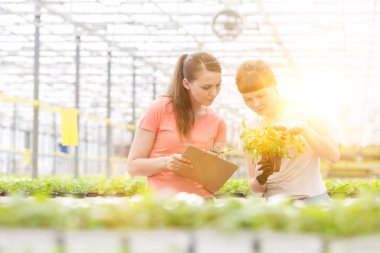 Kadın botanikçiler ot fidan bitki Kreş incelenmesi