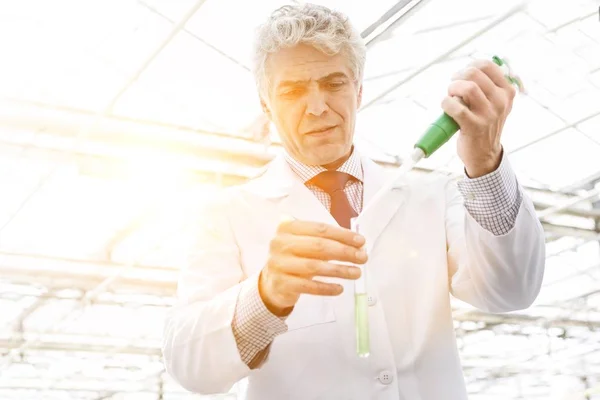 Mężczyzna Biochemik Pomocą Pipety Rozsady Szkółce Roślin — Zdjęcie stockowe