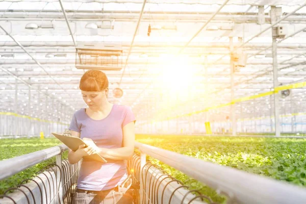 Porträtt Ung Kvinna Botaniker Står Med Urklipp Plantskola — Stockfoto