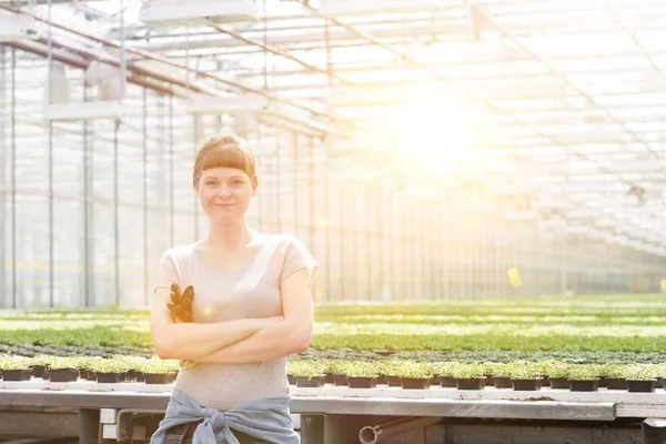 Porträtt Självsäkra Unga Kvinnliga Botaniker Som Står Med Armarna Korsade — Stockfoto