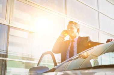 Olgun çekici iş adamının portresi. Arabanın dışında dururken akıllı telefondan konuşuyor.