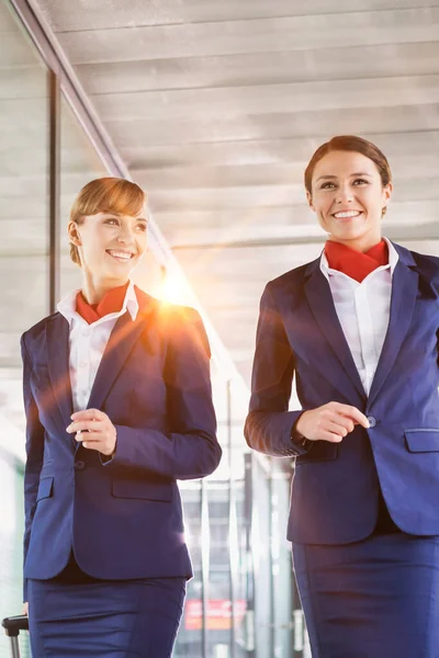 Portrait of attractive flight attendants walking with their suitcases in airport