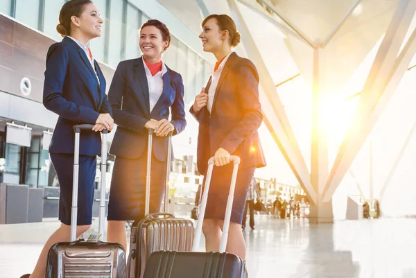 Portrait Young Beautiful Confident Flight Attendants Talking Airport — Stock Photo, Image