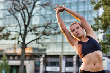 Park alanında gerinen çekici genç bir kadının portresi.