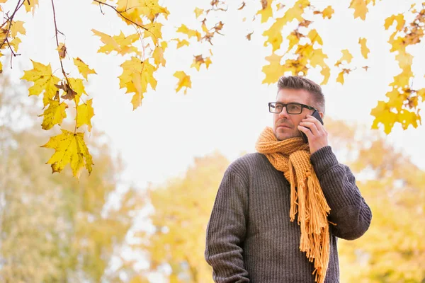 Portrait Mature Attractive Man Talking Smartphone Maple Tree Park — Stock Photo, Image