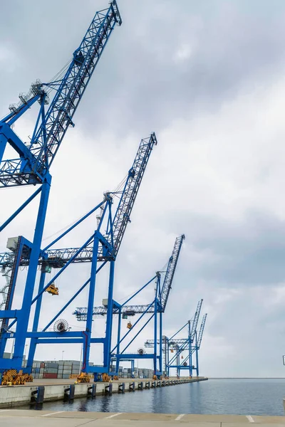 Empty Dock Cranes Cargo Terminal — Stock Photo, Image