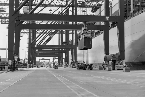 Shipping Containers Cargo Terminal — Stock Photo, Image