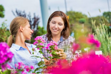 Dükkanda çiçeklere bakan kadınlar