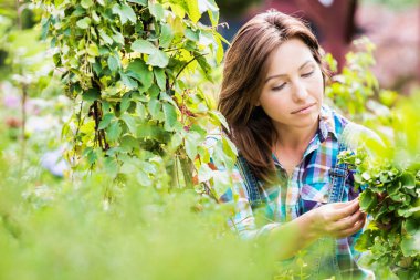 Dükkanda bitkileri inceleyen güzel bahçıvanın portresi