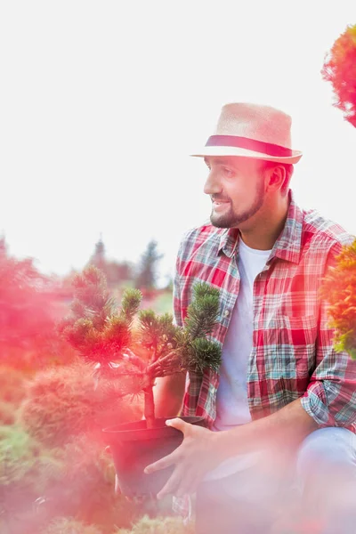 Porträtt Vacker Trädgårdsmästare Bär Hatt Medan Håller Blomkruka Trädgården — Stockfoto