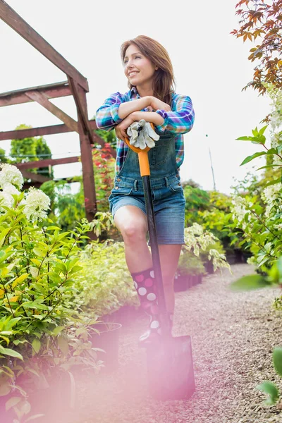Portrait Mature Gardener Smiling While Leaning Shovel — Stock Photo, Image