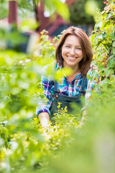 一个微笑的成熟女人在花园里检查植物的画像 — 图库照片