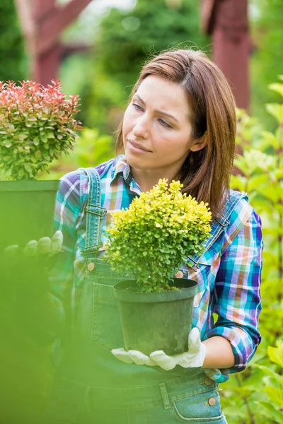 Porträt Einer Reifen Schönen Gärtnerin Die Pflanzen Untersucht — Stockfoto