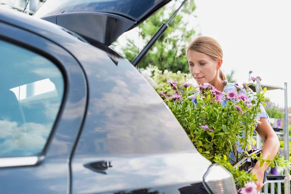 Portrait Jardinier Mature Mettant Des Fleurs Sur Caisse Dans Coffre — Photo