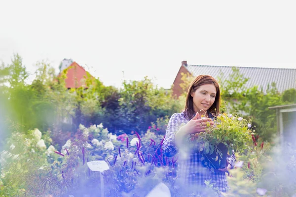 Πορτρέτο Της Γυναίκας Αγοραστή Κοιτάζοντας Λουλούδι Στην Κατσαρόλα Στο Κατάστημα — Φωτογραφία Αρχείου