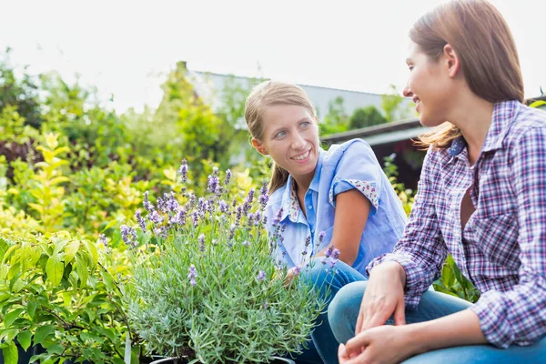 Porträtt Butiksägare Visar Blommor Till Kvinna Köpare — Stockfoto