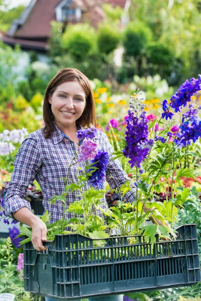 Portret Van Een Vrouwelijke Tuinman Met Bloemen Krat Winkel — Stockfoto