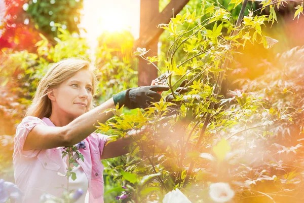 Portrait Beautiful Gardener Cutting Tree Branches Garden — Stock Photo, Image